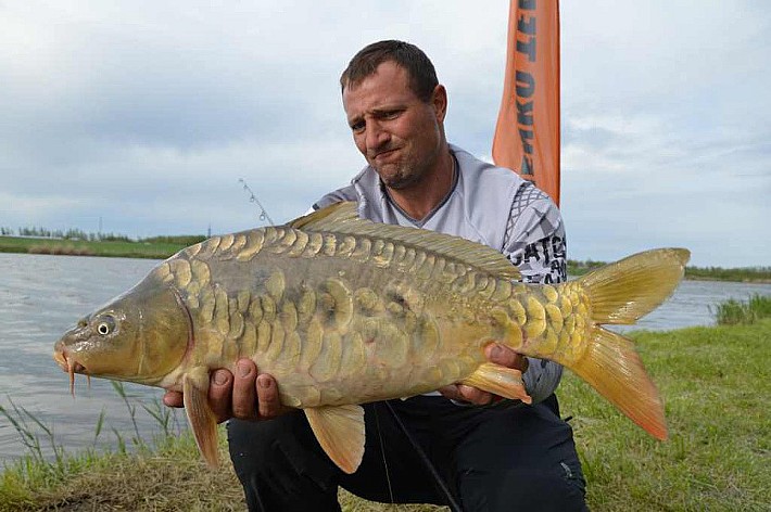 Карпфишинг030